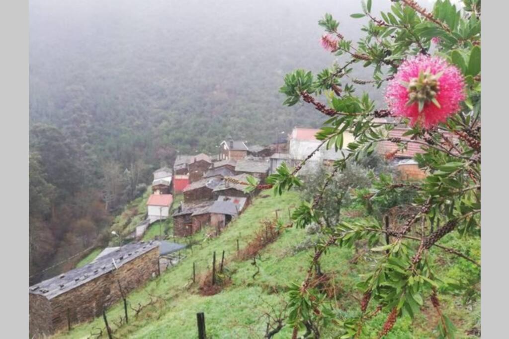 Casa do Avô Alváro - Refugio do Rei Casal do Rei  Esterno foto